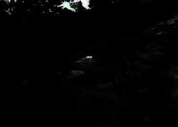 Warga Cadasari Pandeglang Dambakan Jalan “Mulus”