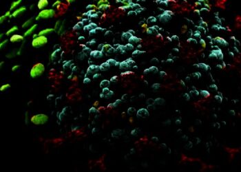Penyebaran Virus Covid-19 Varian Baru Dilacak