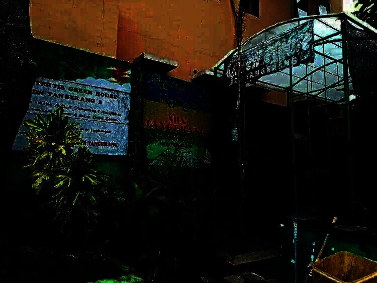 Olah Daun Sirih Jadi Keripik, SDN Tangerang 5 Andalkan Tanaman Obat
