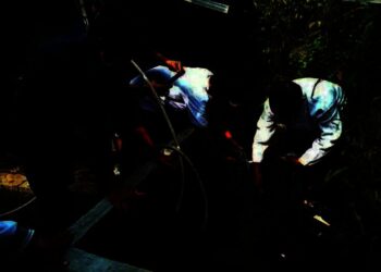 Pemkot Tangerang Bersiap Panen Lele Secara Virtual