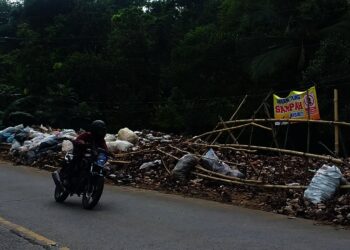 Pinggir Jalan Raya Saketi-Labuan Pandeglang Jadi Tempat Sampah Liar