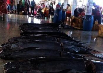 Ditarget PAD Rp 1,2 Miliar, Segini Capaian Dinas Perikanan Lebak pada Juni Ini