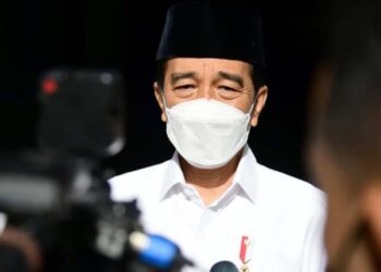 Jokowi Anggap PPKM Mikro Paling Efektif