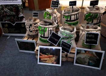 10 Jenis Kopi Indonesia ada di Tangerang, Event Kopi Craft Indonesia