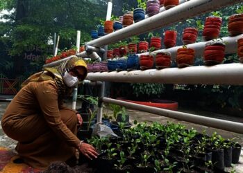 Bertekad Pertahankan Adiwiyata Mandiri, SDN Tanah Tinggi 3 Jaga Lingkungan
