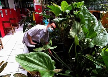 SDN Karawaci Baru 6 Lanjut Adiwiyata Mandiri