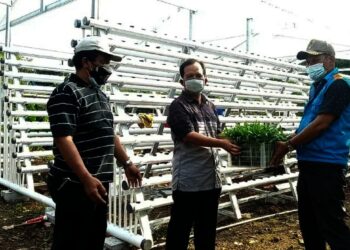 PT IKPP Beri Bantuan Hidroponik dan Budidaya Lele