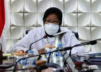 Kabar Gembira, Penerima BST dan PKH Dapat Tambahan Beras 10 Kg