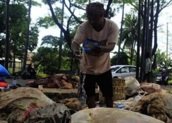 Warga Ini Raup Untung dari Kulit Hewan Kurban