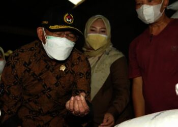 Menko PMK RI, Muhadjir Effendy kenakan topi didampingi Bupati Pandeglang dan jajaran lainnya sedang meninjau beras PPKM di penggilingan dan gudang di Jalan Raya AMD Lintas Timur Pandeglang yang diketahui pemiliknya H. Ating sebagai mitra Bulog Sub Drive Lebak-Pandeglang, Jumat (6/8/2021). (NIPAL SUTIANA/SATELITNEWS.ID)