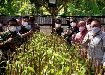 PERKEBUNAN VANILI–Bupati dan Wakil Bupati Pandeglang, Irna Narulita-Tanto Warsono Arban, meninjau produksi vanili bersama pihak perusahaan, di  Desa Citeureup, Kecamatan Panimbang, Kabupaten Pandeglang, Jumat (27/8/2021). (ISTIMEWA)