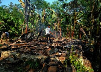 KEBAKARAN–Rumah milik Juhedi, warga Kampung Cijeblok Jeruk, RT 08 RW 02, Desa Talagawarna, Kecamatan Paubaran, Kabupaten Serang, ludes terbakar, Sabtu (28/8/2021). Kebakaran, diduga akibat korsleting listrik. (ISTIMEWA)