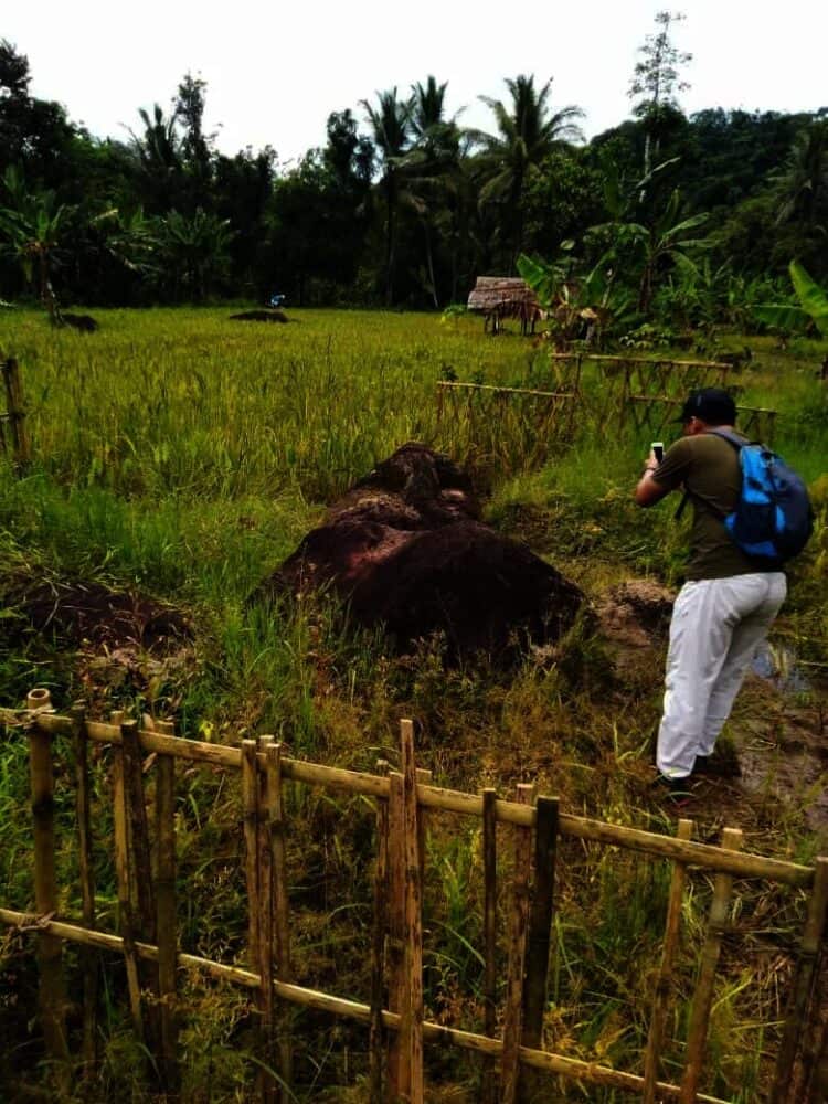 PENGUNJUNG–Seorang pengunjung sedang memotret batu kepala gajah, di Kampung Pamatang, Desa Mekarwangi, Kecamatan Saketi, Kabupaten Pandeglang, (ISTIMEWA)