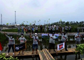 Komunitas Velozity Chapter Tangerang Tanam 1.000 Pohon Mangrove