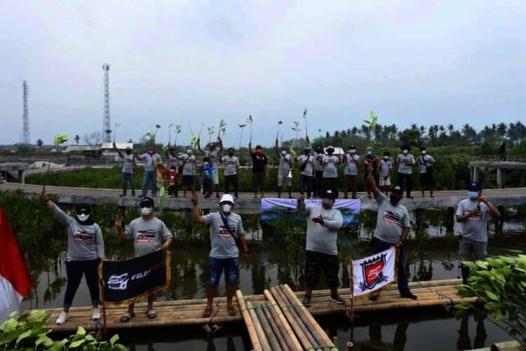 Komunitas Velozity Chapter Tangerang Tanam 1.000 Pohon Mangrove