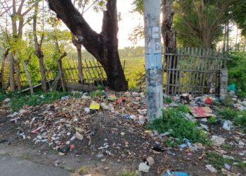 Warga Tanjung Anom Minta DLHK Sediakan Tempat Sampah