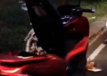Wanita Pengendara Motor PCX Dipepet Kawanan Perampok