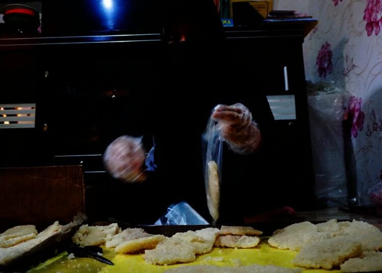 Potret Produksi Ayam Shihlin Rumahan di Tangerang