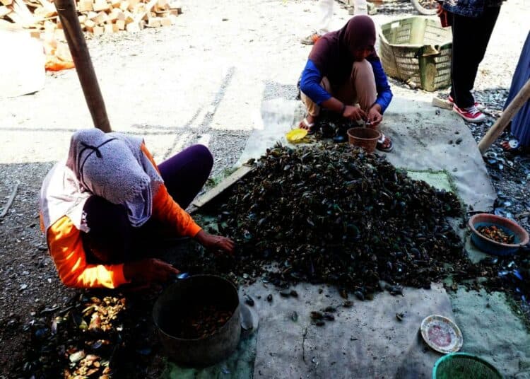 Potret Geliat Pedagang Kerang Ijo di Kabupaten Tangerang