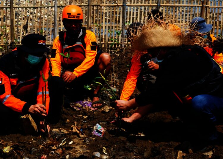 Potret Relawan Tanam Mangrove di Pulau Sampah Tanjung Burung