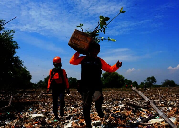 Potret Relawan Tanam Mangrove di Pulau Sampah Tanjung Burung