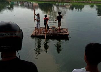 Pria Tenggelam Saat Mencari Keong di Danau Kedaton