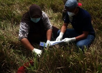 Aparat terkait olah TKP temuan mayat di kawasan TNUK. (ISTIMEWA)