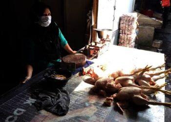Seorang pedagang ayam potong di salah satu pasar tradisional, di Kabupaten Serang. (DOKUMEN)