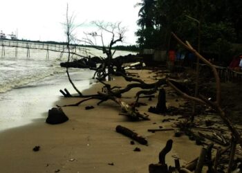 ABRASI–Kondisi Pantai Karoeng-Laba, tergerus abrasi hingga mengakibatkan kawasan tempat wisata mengalami kerusakan cukup parah, Senin (22/11/2021). (ISTIMEWA)