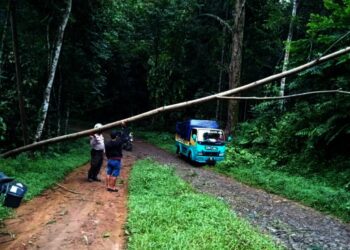 EVAKUASI POHON TUMBANG–Personel Polsek Jiput, bersama masyarakat sedang melakukan evakuasi terhadap pohon tumbang, yang melintang ke jalan, Minggu (7/11/2021). (ISTIMEWA)