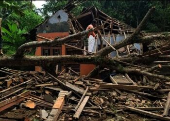 RUSAK TERTIMPA POHON–Rumah tertimpa pohon di Kampung Cihaseum, Kelurahan Pandeglang, Kecamatan Pandeglang, Rabu (24/11/2021). (ISTIMEWA)