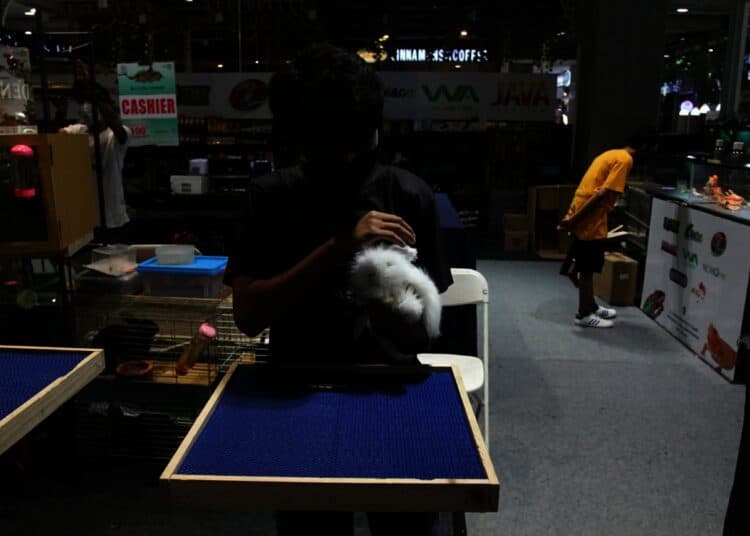 Potret Pameran Hewan Peliharaan Eksotik di Mal Living World