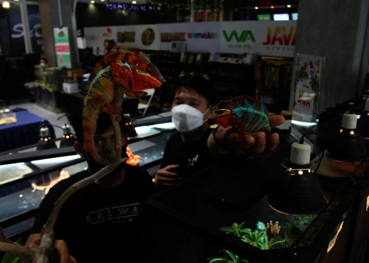 Potret Pameran Hewan Peliharaan Eksotik di Mal Living World
