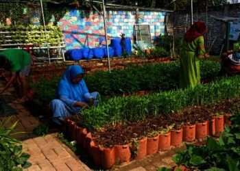 Kampung Jimpitan, Menjaga Nilai Gotong Royong ala Masyarakat Batuceper