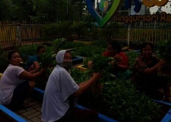 Peraih Kampung Iklim, Dimulai dengan Mengubah Pola Pikir