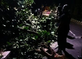 Angin Kencang di Kota Tangerang, BPBD: Hindari Berteduh dan Parkir di Bawah Pohon