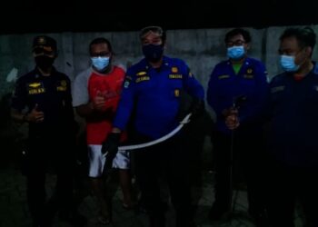 Musim Hujan, BPBD Kota Tangerang Minta Warga Waspada Ular Kobra