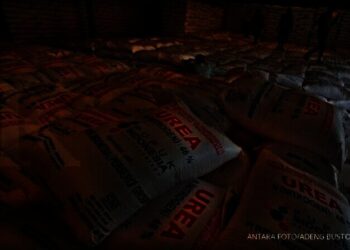 Pupuk bersubsidi di salah satu gudang pemerintah. (ISTIMEWA)