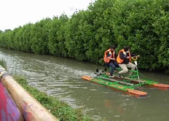 Wisata Sepeda Air Mangrove Kemiri Diminati