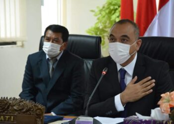 Ahmed Zaki Iskandar Jabat Wakil Presiden PLNG