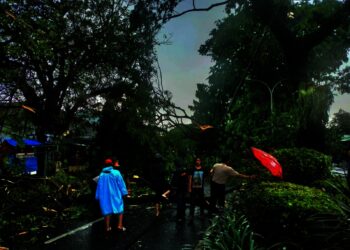 Mencekam, Hujan Deras dan Angin Kencang Menyebabkan Pohon Tumbang Hingga Menimpa Kendaraan