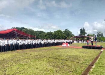 Seorang warga, sedang mencari minyak goreng bersubsidi, di salah satu minimakret di Pandeglang, Rabu (19/1/2022). (NIPAL SUTIANA/SATELITNEWS.ID)