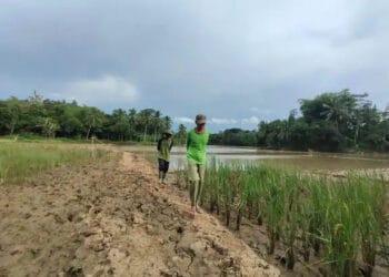 Kurangi Limbah Pasir, Anggota DPRD Lebak Minta Jam Operasi Tambang Dibatasi
