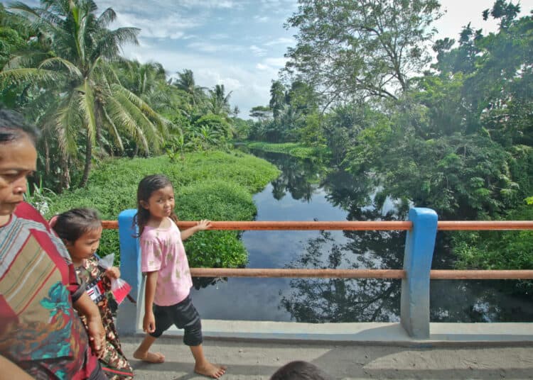 Foto Geger Kemunculan Tiga Ekor Buaya di Sungai Cirarab