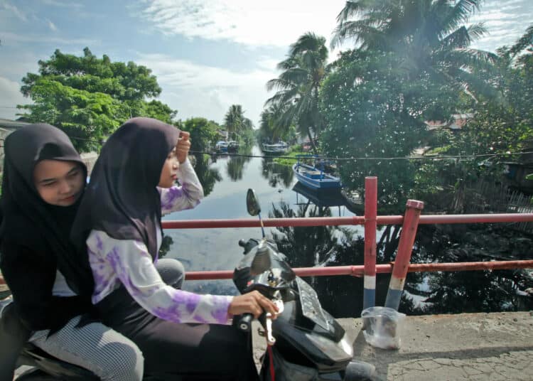 Foto Geger Kemunculan Tiga Ekor Buaya di Sungai Cirarab