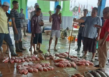 Para nelayan sedang melakukan pelelangan ikan di TPI III Labuan, Kecamatan Labuan, Kabupaten Pandeglang, Rabu (9/2/2022). (ISTIMEWA)