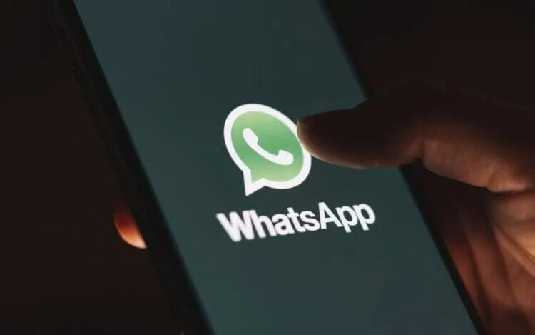 WhatsApp (ISTIMEWA)