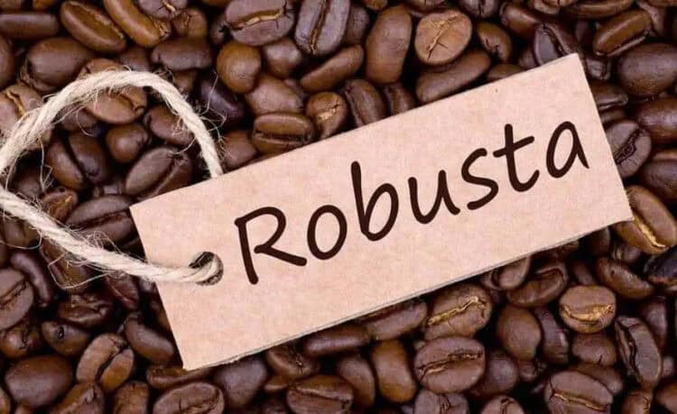 biji-kopi-robusta