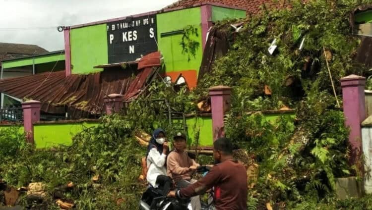 Pohon asam kamal tumbang, menimpa Puskesmas Menes, Minggu (27/2/2022) lalu. (ISTIMEWA)