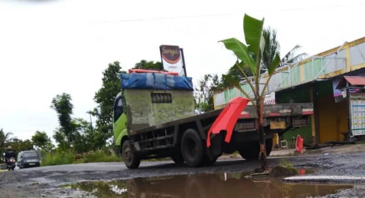 Salah satu titik jalan rusak di jalur Kadubanen – Cipacung, Kabupaten Pandeglang, yang ditanami pohon pisang, Senin (7/3/2022). (MARDIANA/SATELITNEWS.ID)
